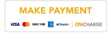 Make a payment with credit card logos